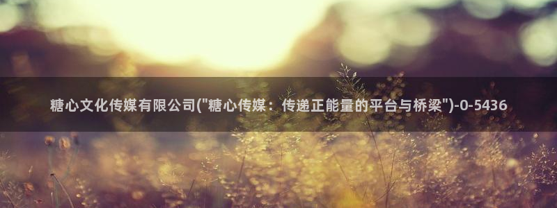 糖心vlog正版：糖心文化传媒有限公司(\