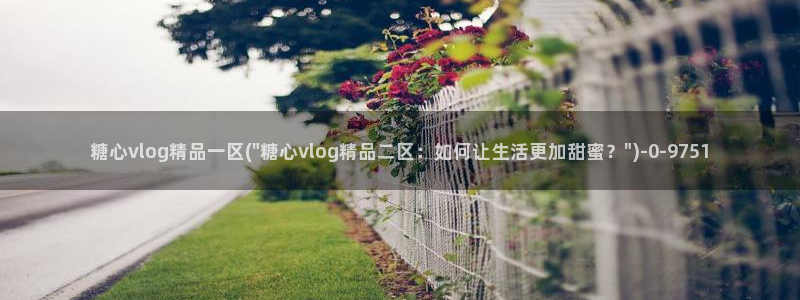 91制片厂糖心vlog：糖心vlog精品一区(\