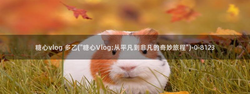 糖心vlog官方在线观看：糖心vlog 多乙(\