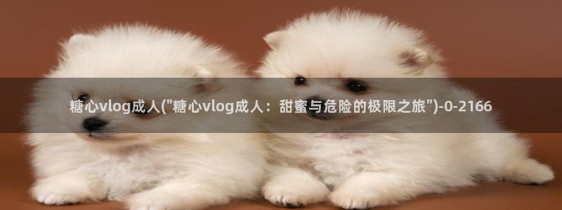 糖的vlog日常：糖心vlog成人(\