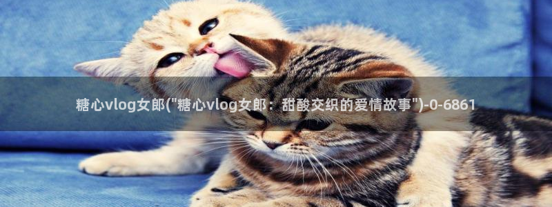 糖心vlog千夜喵喵