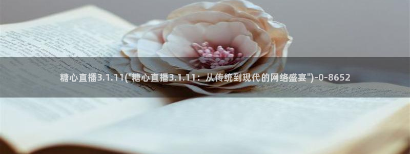 糖心vlog在线观看地址