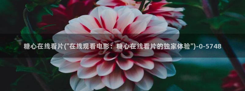 冉冉学姐糖心vlog